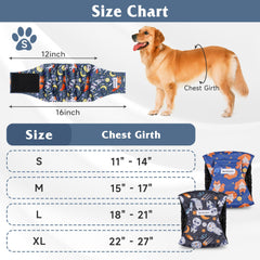 Barklincharm male dog diapers absorbent layer demonstrating leak protection during daily activities