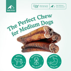 BARK'N BIG 12in standard bully stick—durable dog chew for extended play.