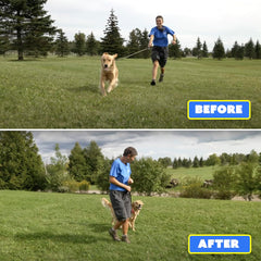 Barks No More safe humane design highlighting nonpainful correction