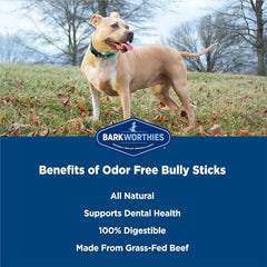 Barkworthies USA-sourced beef pizzle visuals emphasize natural, single-ingredient chews.