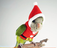 Barn Eleven bird clothes fabric closeup polyester highlights soft, skin-friendly material and easy cleaning.