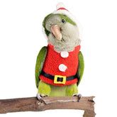 Barn Eleven bird clothes red flight suit on parrot for festive cosplay and photo shoots.