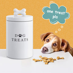 Barnyard Designs white ceramic canister showing durability and easy cleaning