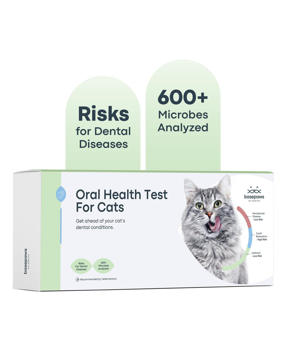 Basepaws cat dental health test kit cover showing brand label for at-home screening.