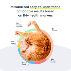 Basepaws Cat DNA Kit prepaid-envelope enables secure, convenient return