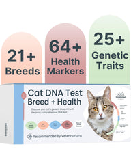 Basepaws Cat DNA Kit sample-collection shows an easy at-home swab for quick setup