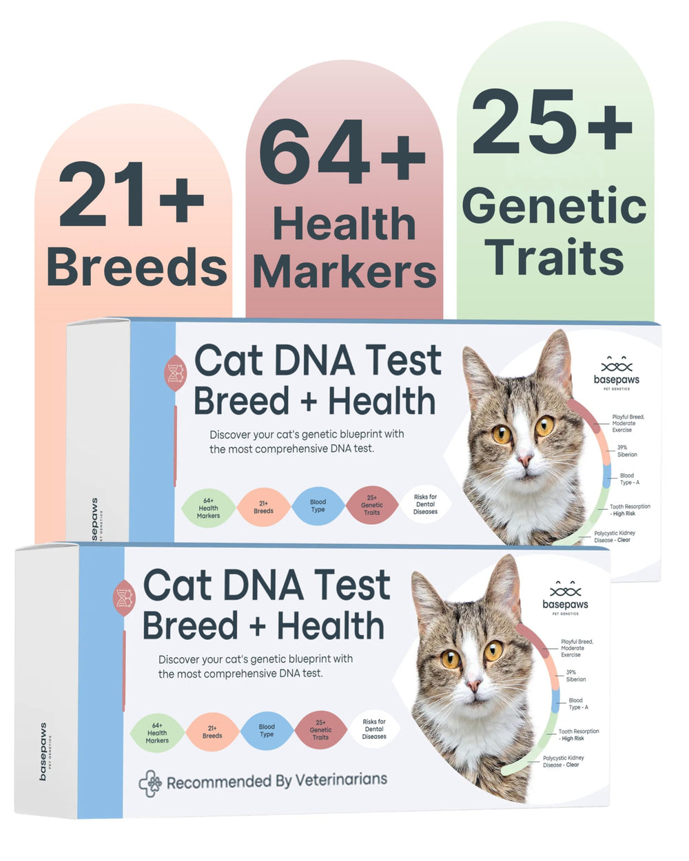 Basepaws cat DNA test kit 2-pack reveals breed mix for tailored care.