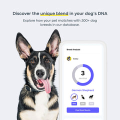 Basepaws dog DNA kit breed identification map highlight origins for mixed-breed clarity.
