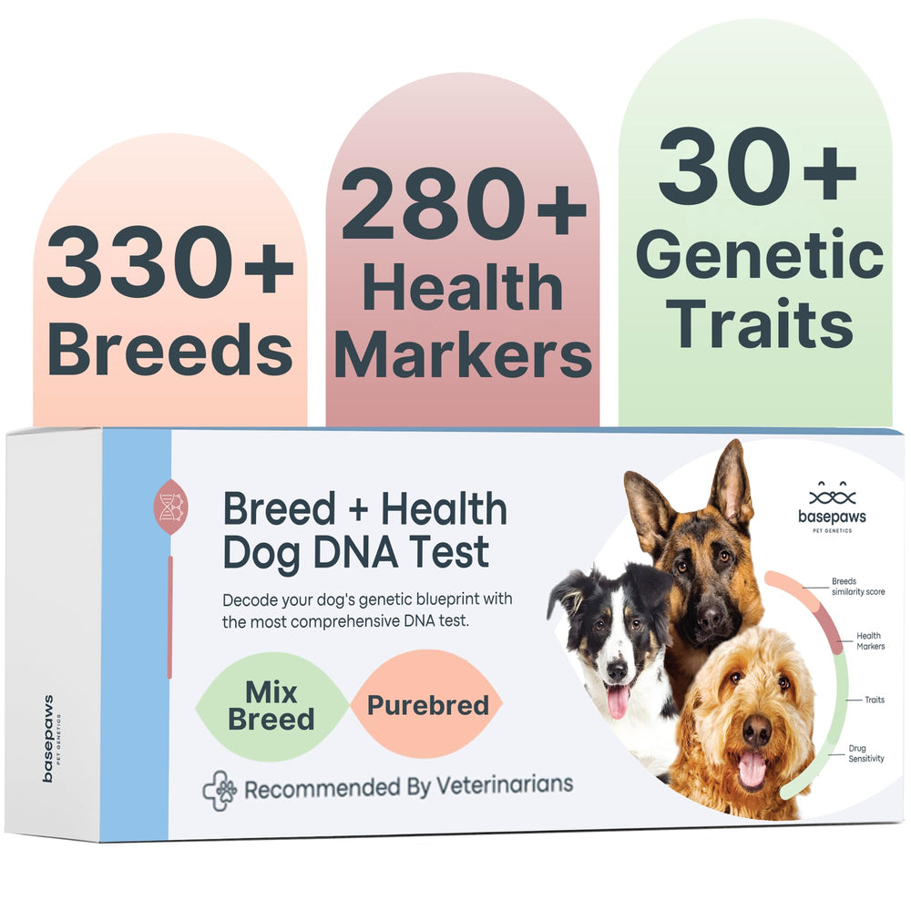 Basepaws dog DNA kit packaging close-up for at-home breed insights.