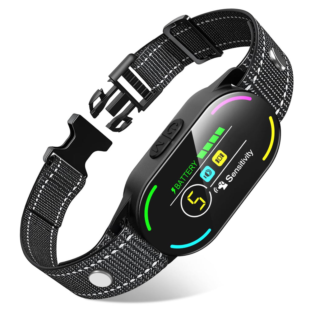 Bassflows AI chip bark collar enables calmer training sessions