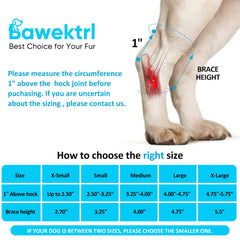 Bawektrl dog hock brace metal springs provide stability during movement