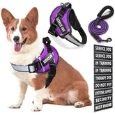 Bcadem service dog vest front view, durable no-pull design for confident outdoor walks.
