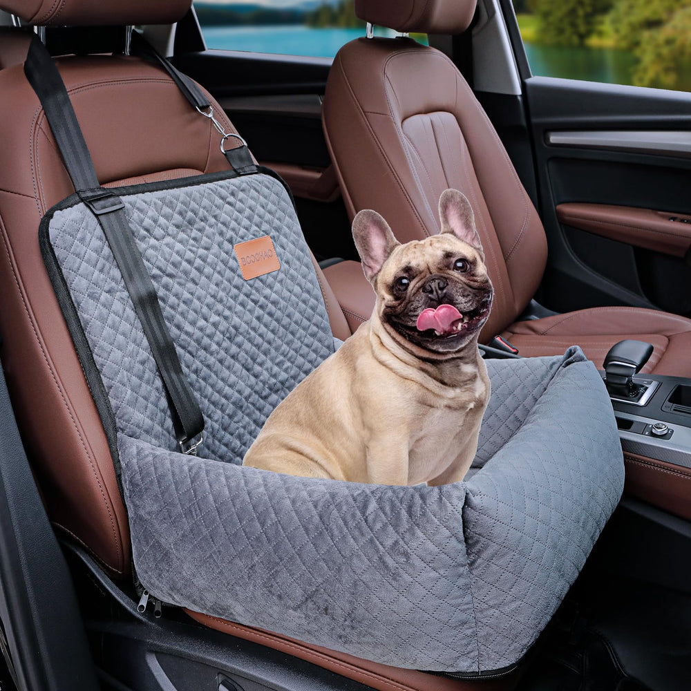 BCOCHAO dog car seat in-car setup shows secure travel for small to medium dogs