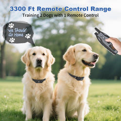 BCPETMY waterproof receiver works in rain and swimming for consistent training cues.