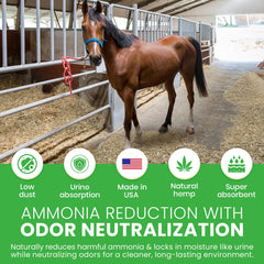 Bean Products hemp bedding in a horse pen highlighting odor control and warmth