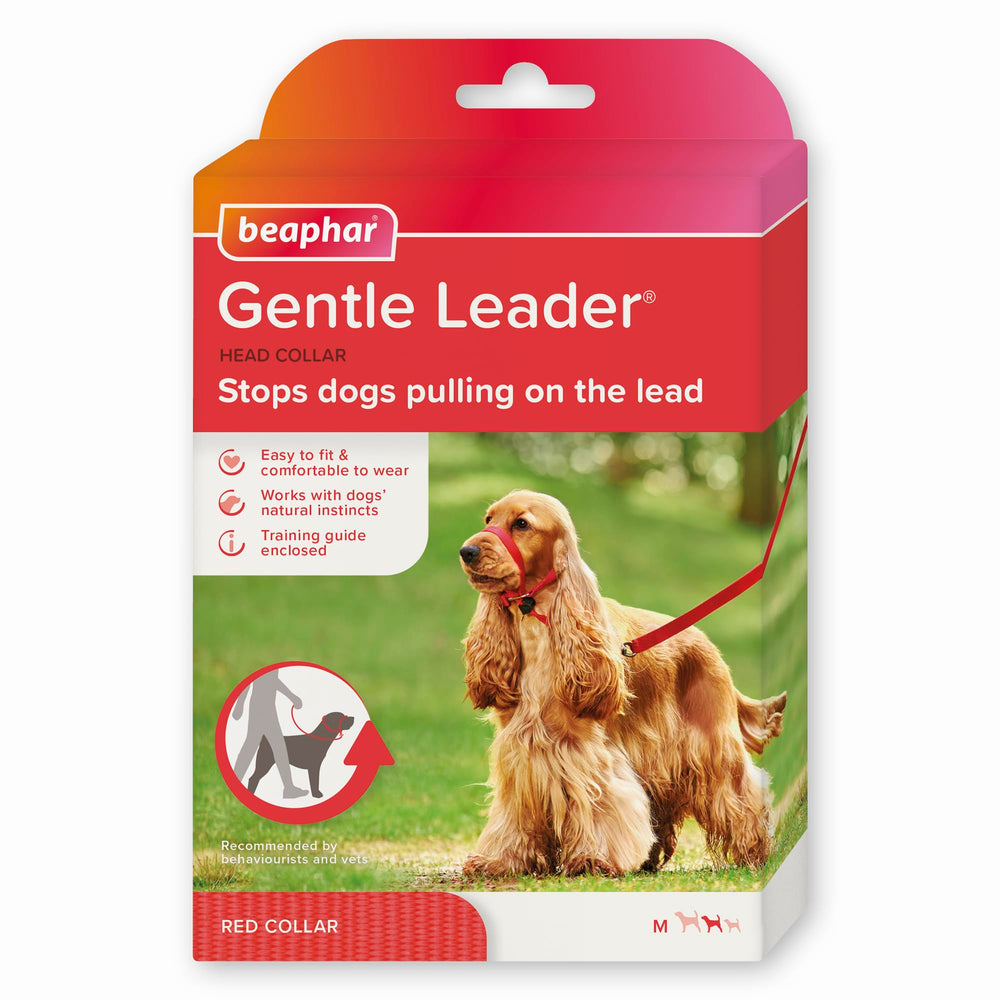 Beaphar Gentle Leader head collar on medium dog's nose area controls pulling during walks