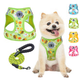BEAUTYZOO bee-pattern harness and leash for comfortable daily walks