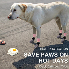 Tejido algodón BEAUTYZOO: comodidad diaria y protección de patas