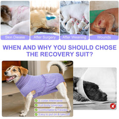 BEAUTYZOO cone-alternative post-surgery dog image showing wound protection and ease