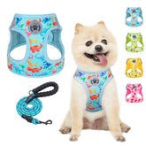 BEAUTYZOO dinosaurs-pattern harness and leash set for comfortable daily-walks.