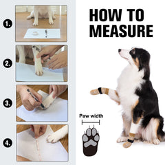 BEAUTYZOO anti-licking socks help protect paws when resting at home.