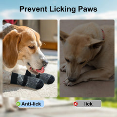 BEAUTYZOO elastic ankle-fit demonstrates secure, easy-on fit for dogs