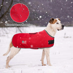 BEAUTYZOO dog winter coat belly-coverage detail for added warmth.
