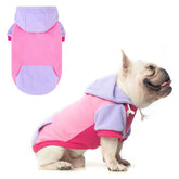 BEAUTYZOO fleece dog hoodie back view shows cozy warmth for cold walks