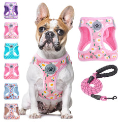 BEAUTYZOO floral pattern dog harness for comfortable daily wear.
