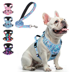 BEAUTYZOO No Pull Harness small chest clip aids training and control