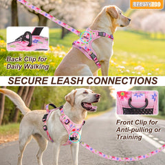 BEAUTYZOO No Pull Harness back clip ready for casual walks.