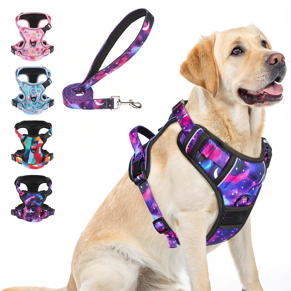 BEAUTYZOO No-Pull Harness front view shows secure, comfortable fit for daily walks.