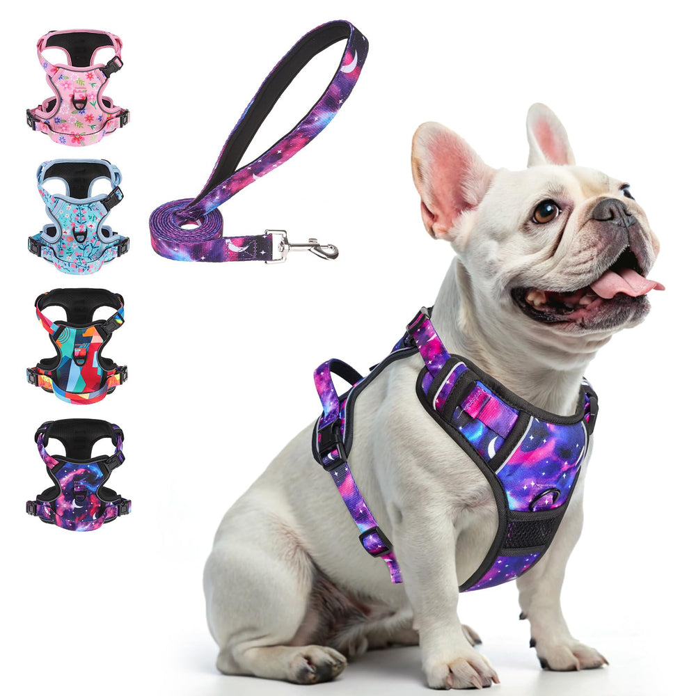 BEAUTYZOO No Pull Harness front view with quick snap buckles for easy wearing