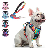 Beautyzoo No Pull Harness front view shows secure chest clips for training comfort.