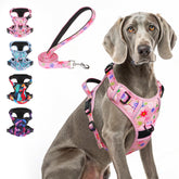 BEAUTYZOO No Pull Harness with overhead-free 3-snap buckles for easy on-off walks.