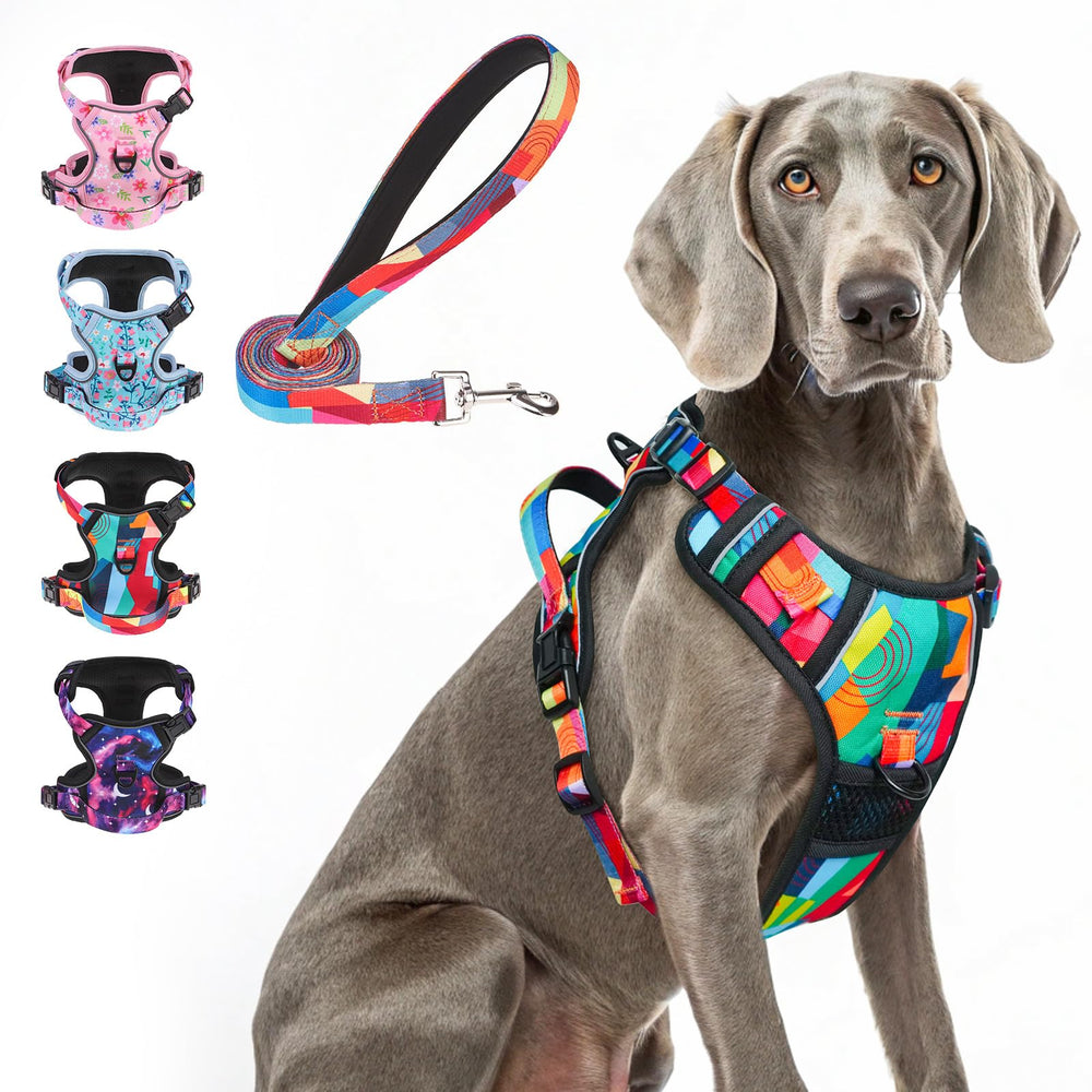 BEAUTYZOO No Pull Harness XL front clip for controlled training and walking