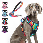 BEAUTYZOO No Pull Harness XL front clip for controlled training and walking