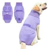 BEAUTYZOO recovery suit for dogs in purple XL on a calm dog for post surgery comfort