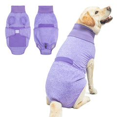 BEAUTYZOO recovery suit for dogs in purple XL on a calm dog for post surgery comfort