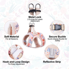 BEAUTYZOO Reflective Bands Harness at dusk for safer night walks.