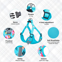BEAUTYZOO reflective tabs on harness for safer night walks.
