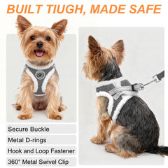 BEAUTYZOO Reflective Trim Harness improves low-light visibility for safety.