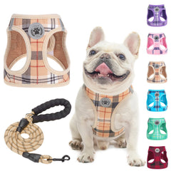 BEAUTYZOO small dog harness step-in easy on-off for quick walks.