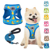 BEAUTYZOO step-in harness in duck blue highlighting comfortable fit for small to medium dogs.