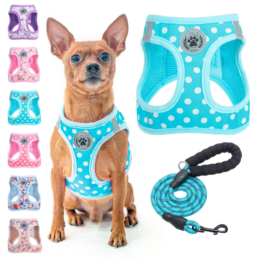 BEAUTYZOO step-in harness polka-dot pattern for easy on/off daily walks.