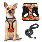 BEAUTYZOO step-in harness floral pattern for comfortable daily walks