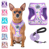 BEAUTYZOO step-in harness with floral pattern fits small dogs and cats.
