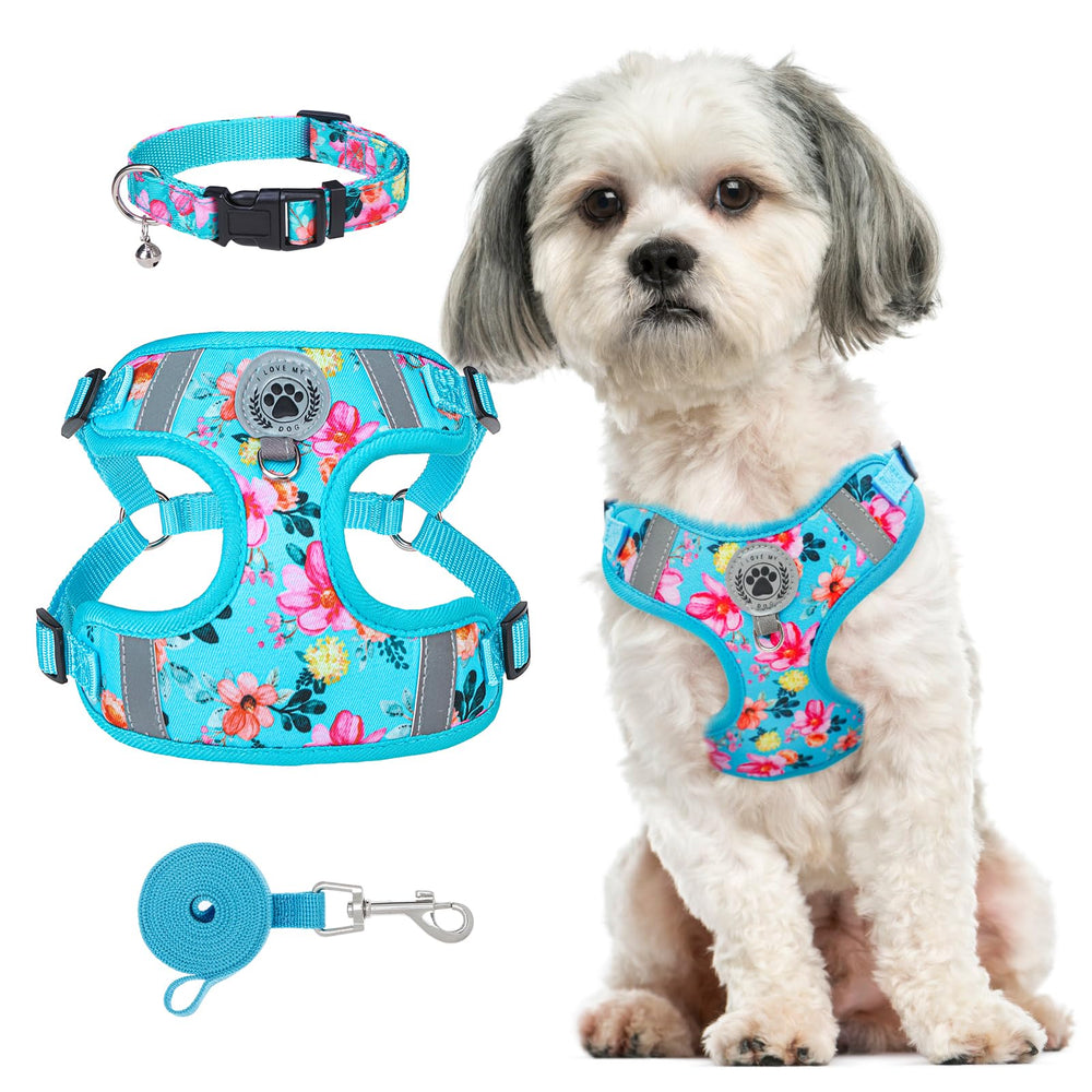 BEAUTYZOO step-in harness mesh for easy, comfortable daily walks.