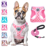 BEAUTYZOO Step-In Harness polka dot pattern with reflective bands for safer night walks.