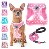 BEAUTYZOO step-in harness polka dot for quick fit on small dogs.